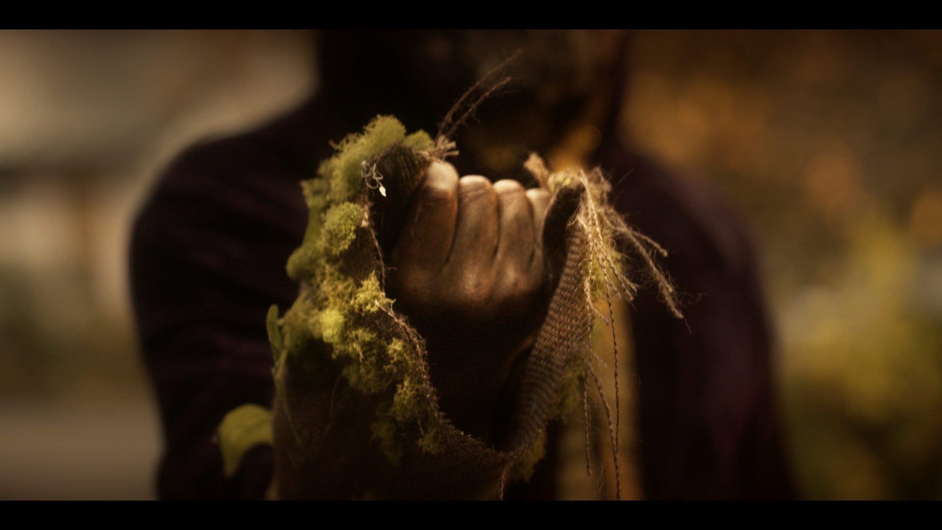 Treeguy's hand in Hypnos Lullaby: Where Dreams Come to Die
